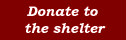 Donate to Shleter