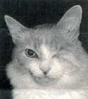 Clarence
