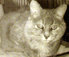 Samantha