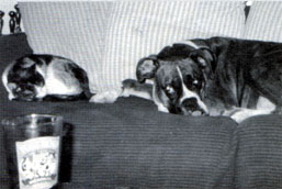 Gaby taking a rest with her new big brother Dinero.